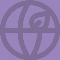 widget image